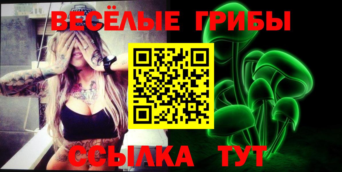Воронеж  Галлюциногенные грибы ЛСД  Псилоцибиновые грибы Psilocybe  Вход с VPN 