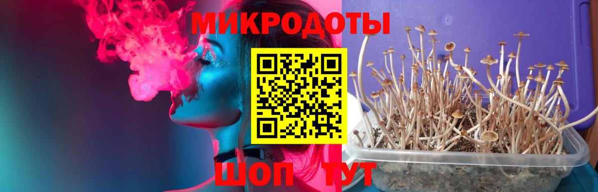 Псилоцибиновые грибы мицелий Воронеж